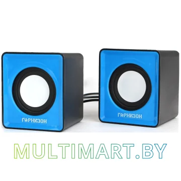 Акустика Гарнизон GSP-100